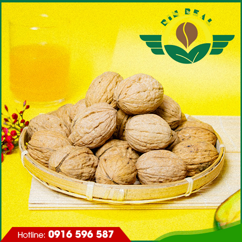 Hạt óc chó