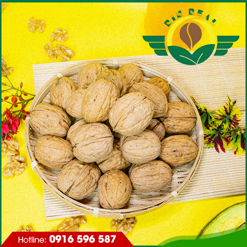 Hạt óc chó